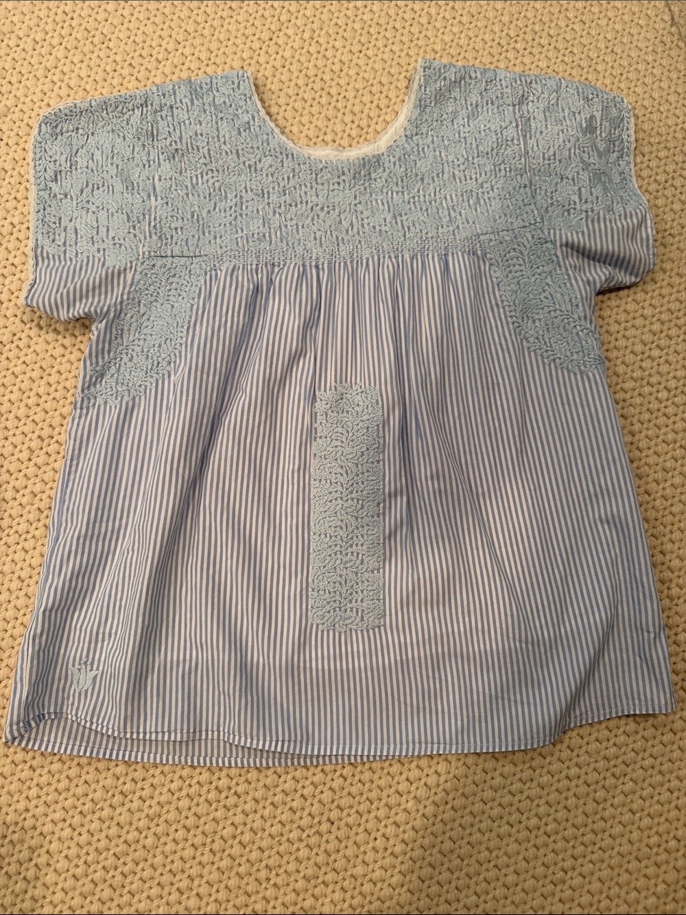 Women's Light Blue Striped Embroidered Blouse